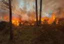 Firefighters dealing with the blaze in Bransgore on Saturday evening
