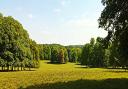 Hinton Ampner parkland