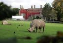 Marwell Zoo has become one of the first in the UK to achieve a national mark of excellence.