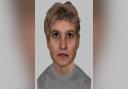Hampshire police have released an e-fit of one of three men involved in a reportedly burglary in Fordingbridge.