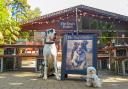 The Dog’s Frolics opens with treats, quizzes, and chilled dog beer