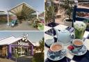 Brambridge Park Garden Centre and Mayfield Garden Centre are among the best-rated garden centres with a cafe near Southampton