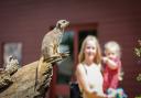 Marwell Zoo launches week of fun for Love Your Zoo celebration