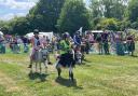 The Donkey Derby saw smiles all around
