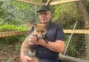 Steve Mason and fox Luther