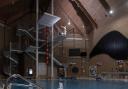 Southampton Diving Academy calls for action as facility faces possible closure