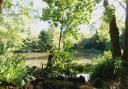 Victorian gardens at Holly Hill set for major restoration by Arkwood