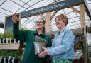 Caring for roses will be covered at Dobbies Garden Centre’s June Grow How workshop, led by the Green Team