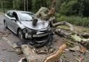 Uber driver ‘lucky’ to escape without serious injuries after tree falls on car