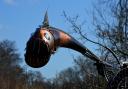 Pike by Ted Edley captures motion and menace in metal form