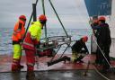 Deployment of the FluxCAM