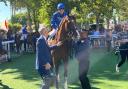 Ombudsman impressed last season (PA)