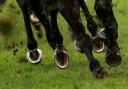 General view of horses hooves (Simon Cooper/PA)