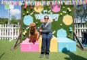 Agility runs and costume contests return for Whiteley’s popular Doggie Day