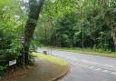 Highfield Road, which is connected to The Avenue, will close for carriageway patching.