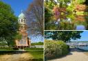 Exbury Gardens, Royal Victoria Country Park and Bucklers Hard were among the places suggested as the best to visit in Hampshire by readers