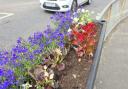 Flowers meant to commemorate VE and VJ day stolen from town centre