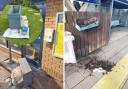 Volunteers ‘turn adversity into something beautiful’ after vandalism at train station