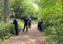 Knives, axe and weapons seized in major police crackdown week