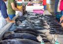  A persistent Southampton thief sent to jail for stealing fish was among cases heard at Southampton Magistrates' Court