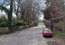 Mr Critchley was found dead in a silver Ford Focus on Shrubbs Hill Road, Lyndhurst