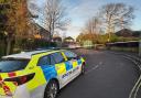Two women fought to save a man’s life after he was stabbed in Netley, a court heard