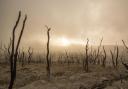 Southampton-led study shows rising droughts even in wetter regions