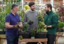 Hands-on gardening meets family time in Cadnam herb workshop