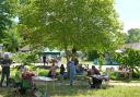 This looks like a great celebration of the New Forest