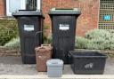 New Forest’s new bins roll out as waste overhaul begins June 9