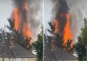 A garden fire that grew out of control caught onto a 40-foot tree on Burgess Road last night.