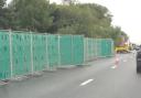 One lane of the A31 westbound is closed for a third day as a murder investigation continues