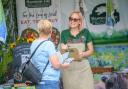 New Forest Show 2023