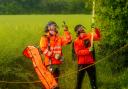 SSEN arborists at work