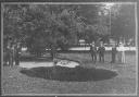 The dark oval in the foreground of this Southampton Pictorial Picture from August 1915 shows the mysterious subsidence that took place in Palmerstone Park on the Sunday Morning of the August Bank Holiday.