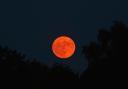 The strawberry moon lighting up the night sky