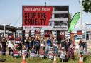 'Stop the cruelty': Protesters stage demo outside ferry HQ