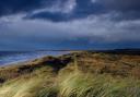 The limb was found at Prestwick Beach in South Ayrshire (Alamy/PA)