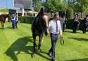 Illinois after finishing second in the Gold Cup at Royal Ascot (Adam Morgan/PA)