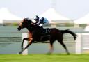 Trinity College won the Hampton Court Stakes (David Davies/PA)