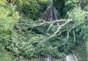 A tree is blocking the railway