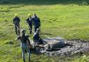 Hampshire firefighters worked with specialist animal rescue teams to free horse Tyse from a New Forest bog.