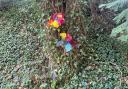 Floral tributes and messages left for teenagers killed in crash