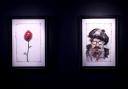 A set of artwork by Johnny Depp, including a painted rose dedicated to his daughter and a self-portrait are unveiled at Castle Fine Art in London before they go on sale (Matt Alexander Media Assignments/PA)