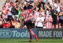 Saints 1-1 Watford - in pictures