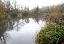 Miller's Pond in Sholing