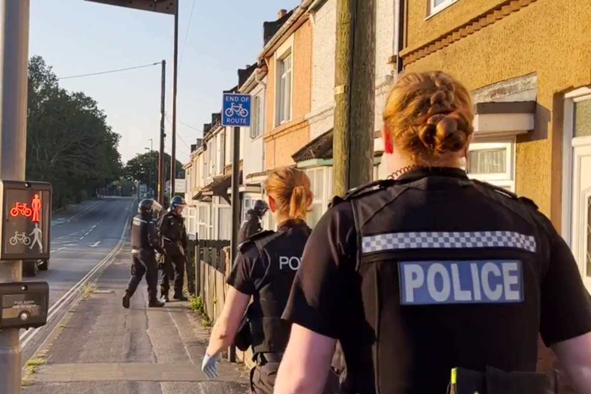 Southampton: Police Bust Cannabis Factories And Seize 200 Plants ...