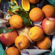 Plans unveiled to boost food waste recycling across Hampshire homes