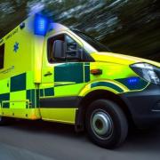 Emergency services were called to East Wellow