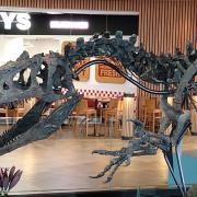 The skelton of a large dinosaur has gone on show at the Westquay shopping centre in Southampton.